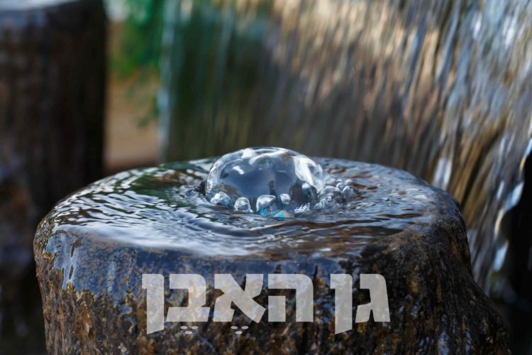 מזרקות לגינה