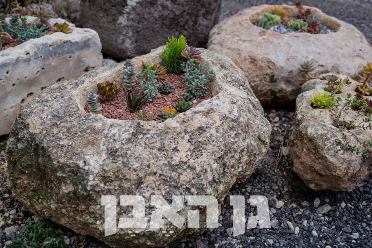 שוקת חצובה בסלע מקומי